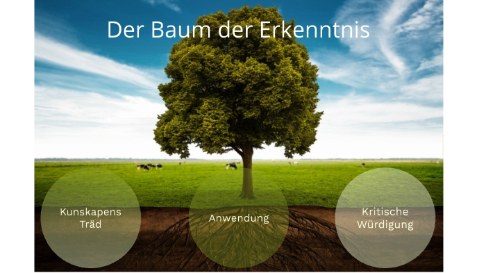 Der Baum Der Erkenntnis Pädagogik Der Baum der Erkenntnis by Sophie Tiemann on Prezi