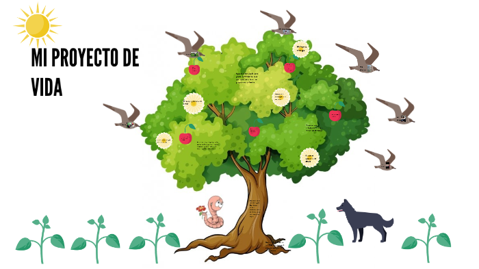Mi Proyecto De Vida by Paula Andrea Cuervo Melo on Prezi