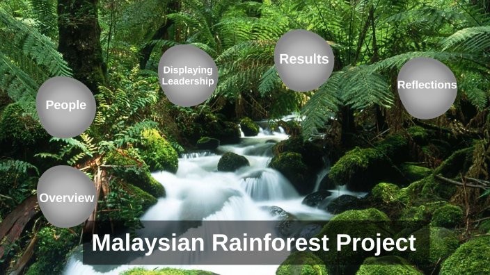 Malaysian Rainforest Project by Josh Mathie on Prezi