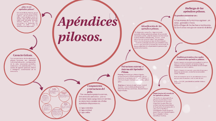 APENDICES by Veruzka Vicuña on Prezi