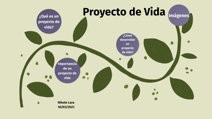 Importancia Del Proyecto De Vida By Nikole Lara On Prezi