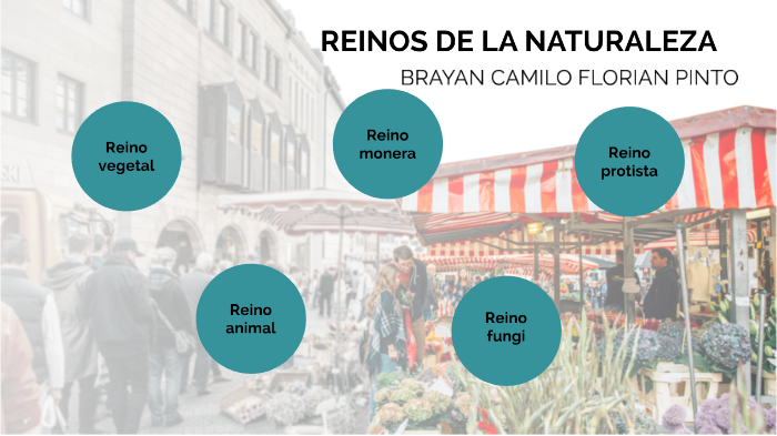 REINOS DE LA NATURALEZA by brayan camilo florian pinto on Prezi