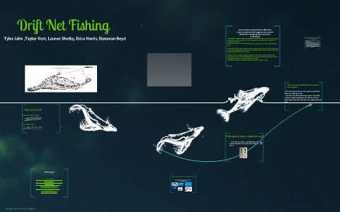 APES Drift Net Fishing Project by Taylor Vest