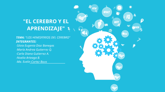 EL CEREBRO Y EL APRENDIZAJE by maria evelin cortez bozo on Prezi
