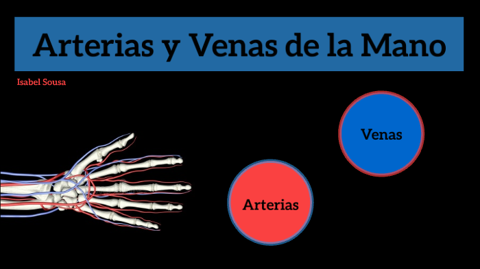 Arterias y Venas de la Mano by Isabel Sousa on Prezi