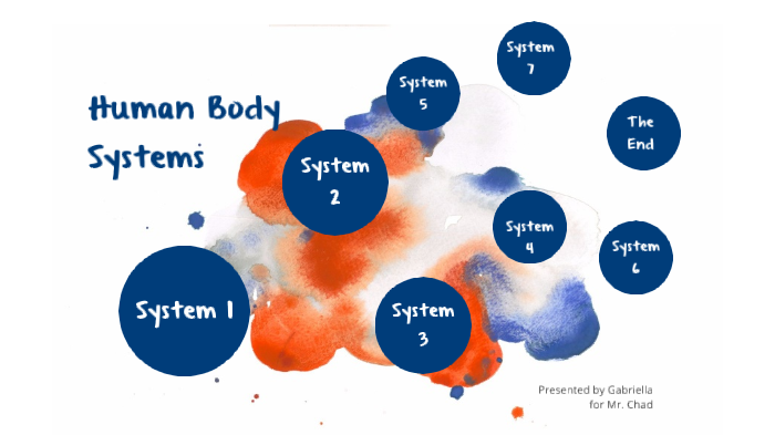 how-the-human-body-systems-work-together-by-gabriella-m-on-prezi