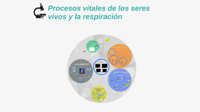 Procesos vitales de los seres vivos y la respiracion by Ari Axel