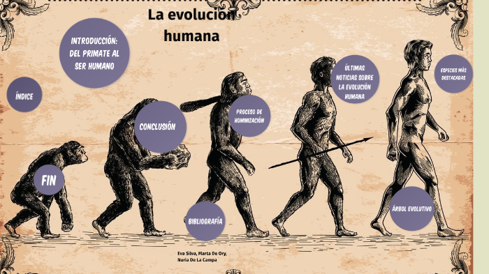 La evolucion humana by Marta De Ory Colombo on Prezi