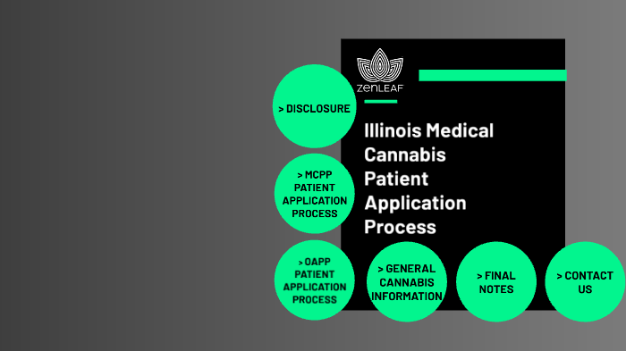 What is Fitbit Labs visual data 8