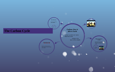 Carbon Cycle by William Lee on Prezi