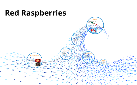 Types Pf Raspberry Chart Types of Raspberries by Victoria Welch on Prezi