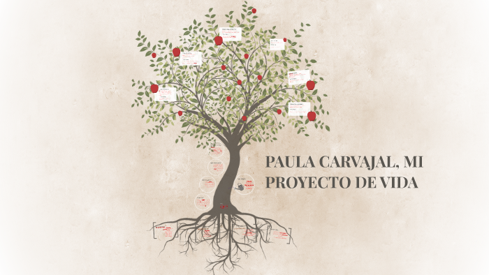 PAULA CARVAJAL, MI PROYECTO DE VIDA by Paula Henao on Prezi