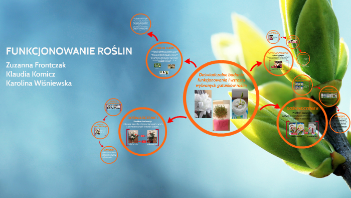 Funkcjonowanie roślin by Klaudia Komicz on Prezi