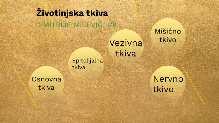 Zivotinjska Tkiva By Dimitrije Milevic