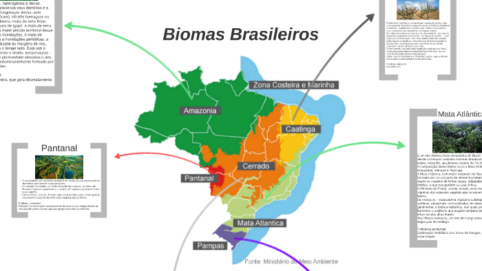 Biomas Brasileiros by Isabella Bianco on Prezi