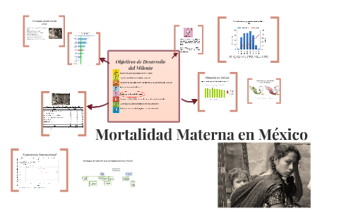 Mortalidad Materna en México by on Prezi