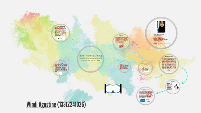 Sistem Sonar Pada Hewan By Windi Agustine