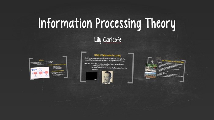 Information Processing Theory by Lily Caricofe on Prezi
