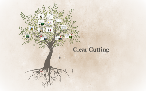 Clear Cutting by on Prezi