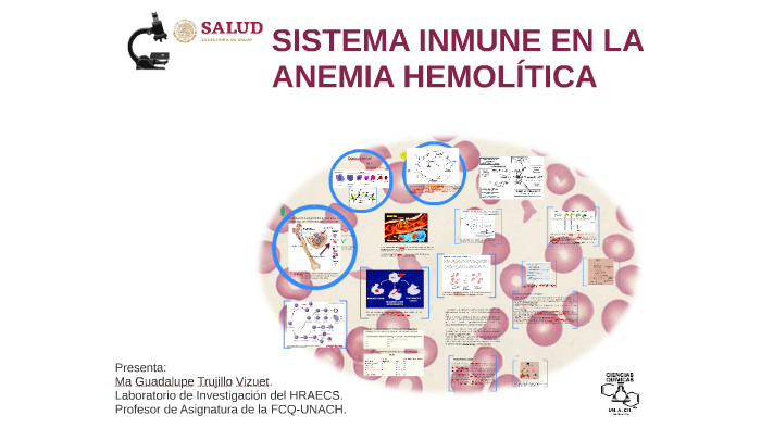 Sistema Inmune En La Anemia Hemolitica By Ma Guadalupe Trujillo Vizuet 1619