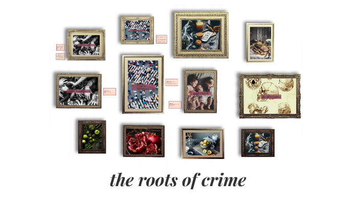 the-roots-of-crime-by-thuy-tien-nguyen