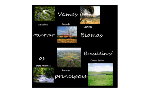 Biomas Brasileiros by Carolina de Lima Teodoro on Prezi