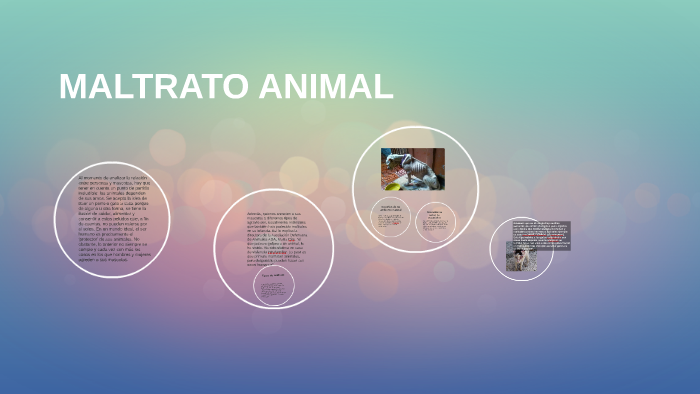 Maltrato Animal Valentina Sierrra By Biank Vlds On Prezi