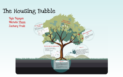 The Housing Bubble By M P