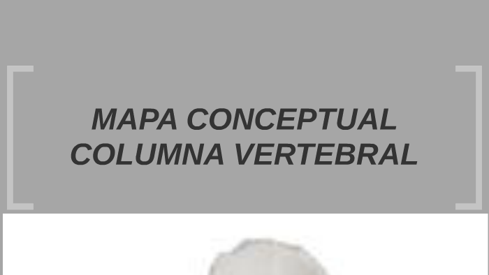 Mapa conceptual Columna vertebral by David Blanchart Lopez on Prezi