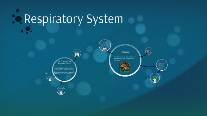 Respiratory System by Harman Bassi