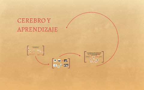 CEREBRO Y APRENDIZAJE by Paul Ochoa Almeyda on Prezi