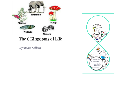 The 6 Kingdoms of Life by Rosie Sellers on Prezi