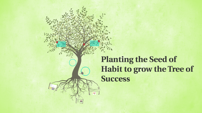 Planting the Seed of Habit to grow the Tree of Success by Ashley Kildoo ...