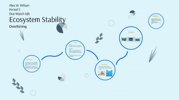 Ecosystem Stability By Alex Wilson On Prezi