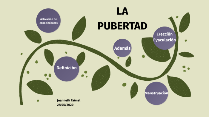 La pubertad by Jeanneth Rocío on Prezi