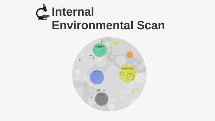 Internal Environmental Scan Example Internal Environmental Scan by Kailani Quichocho on Prezi