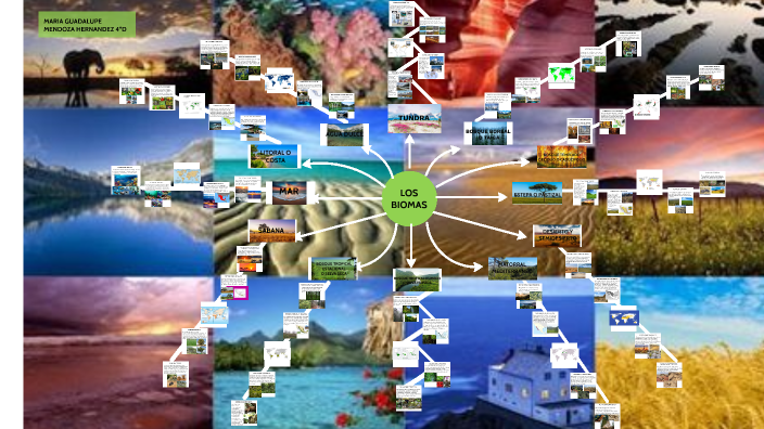 Los Biomas by Maria Guadalupe Mendoza Hernandez on Prezi