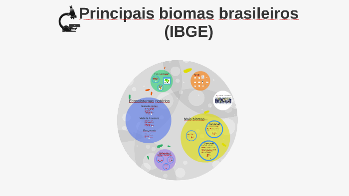 Principais biomas brasileiros (IBGE) by Taisy Santos on Prezi