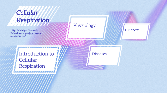 Cellular respiration system by Madelyn Griswold on Prezi