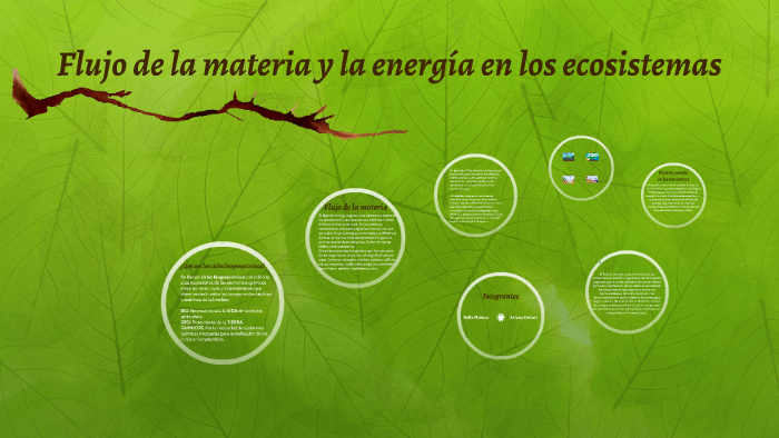 Flujo de la materia y la energía en los ecosistemas by Sofía Malenna on ...