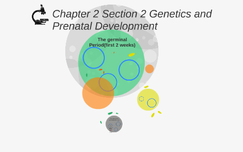 Chapter 2 Section 2 Genetics and Prenatal Development by Tampha Hill on ...