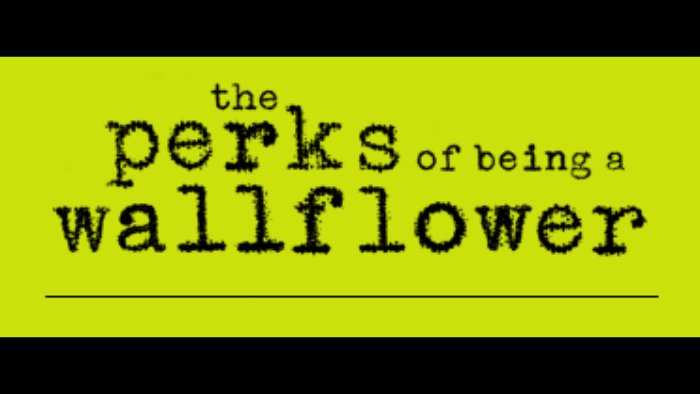 the perks of being a wallflower literary devices