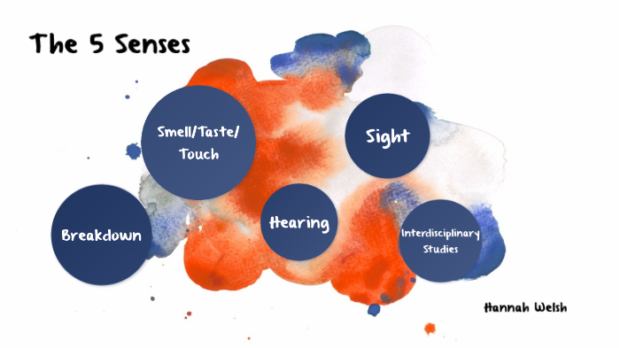 The 5 Senses Lesson Plan by Hannah Welsh on Prezi