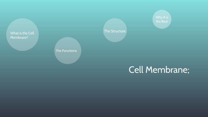 Organelle Debate: Cell Membrane by Rosangela Mejia on Prezi