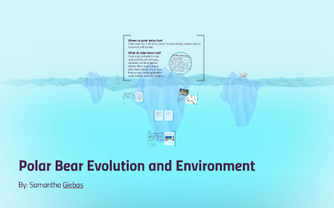 Polar Bear Evolution and Environment by Samantha Giebas on Prezi