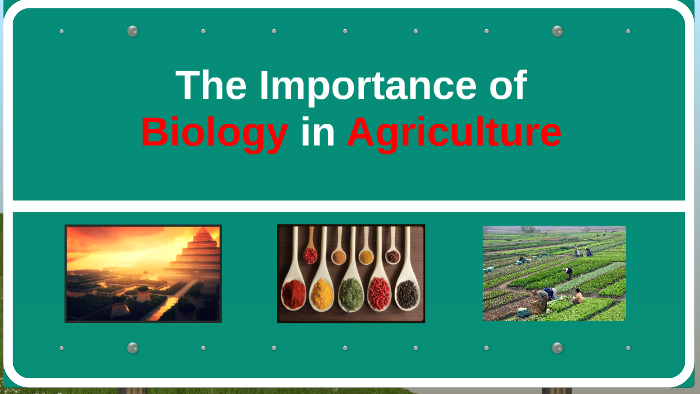 The Importance Of Biology In Agriculture By Syahirah Syerry On Prezi