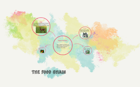 The Food Chain by Havyn Looper on Prezi