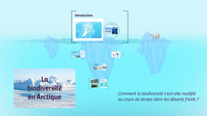 La biodiversité en Arctique by Félicité Gonet on Prezi