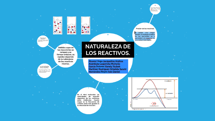 NATURALEZA DE LOS REACTIVOS. by sarahi Martinez Rodríguez