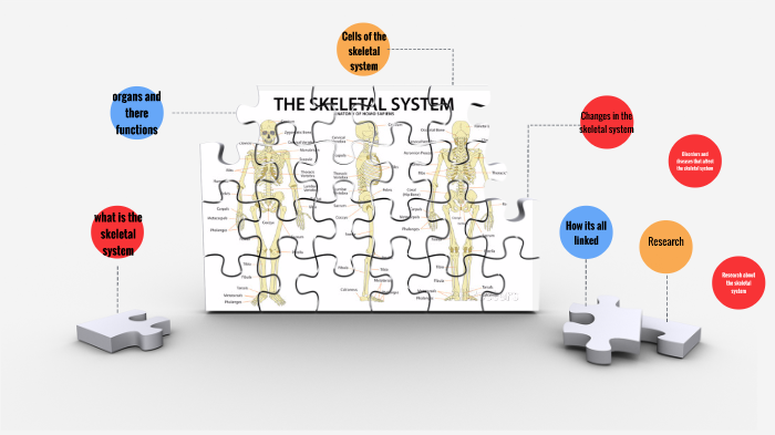 skeletal system by allison quinn on Prezi